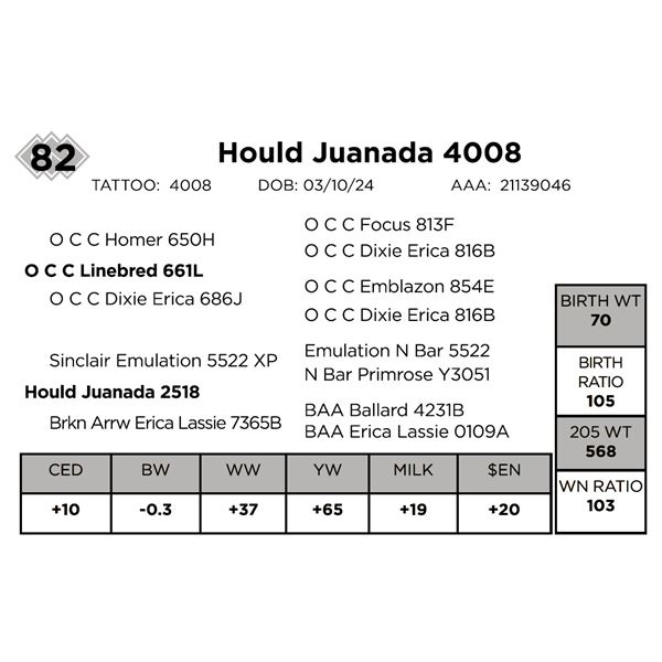 Hould Juanada 4008