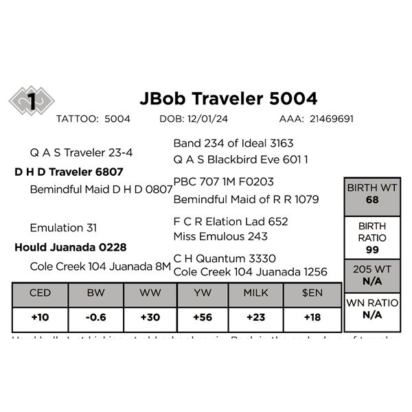 JBob Traveler 5004