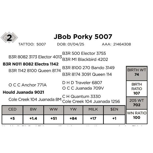 JBob Porky 5007