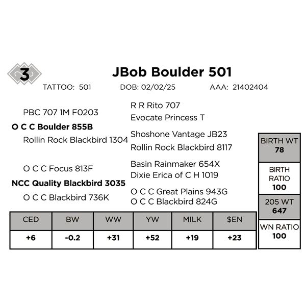 JBob Boulder 501