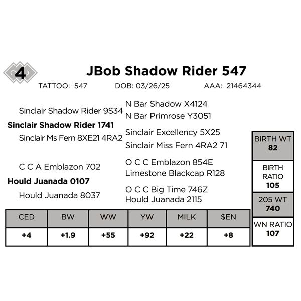 Jbob Shadow Rider 547