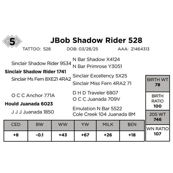 JBob Shadow Rider 548