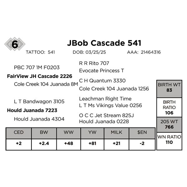 JBob Cascade 541