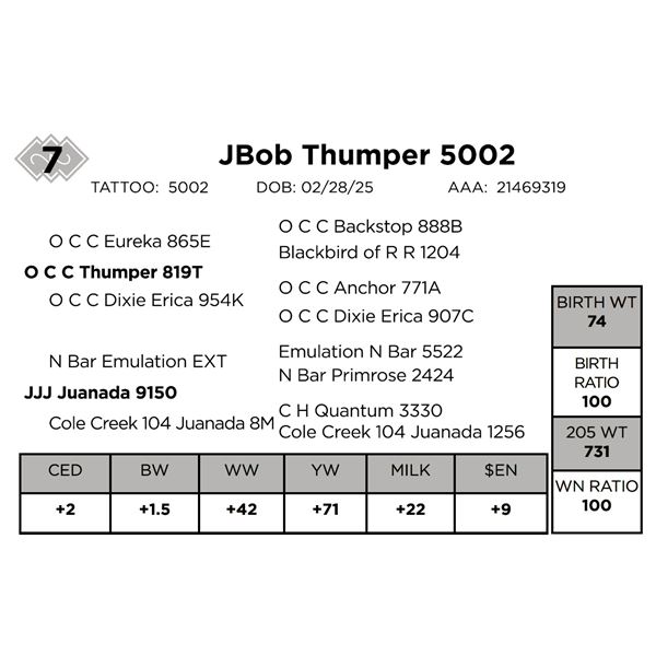 JBob Thumper 5002