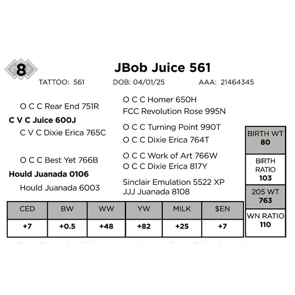 Jbob Juice 561