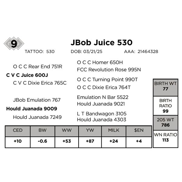 Jbob Juice 530