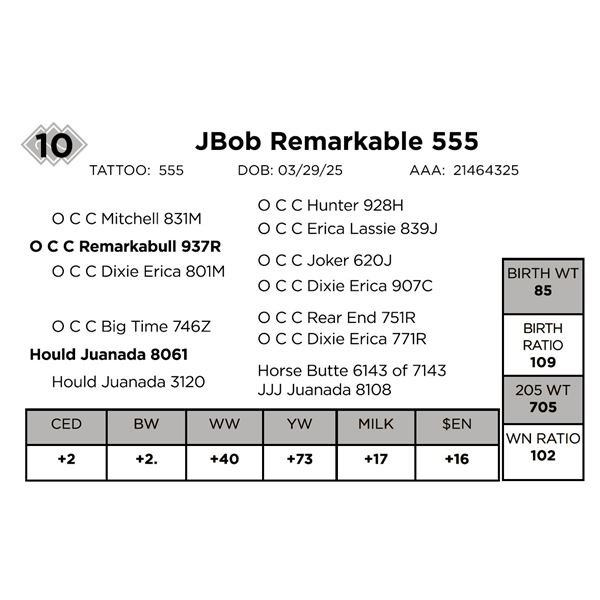 Jbob Remakable 555