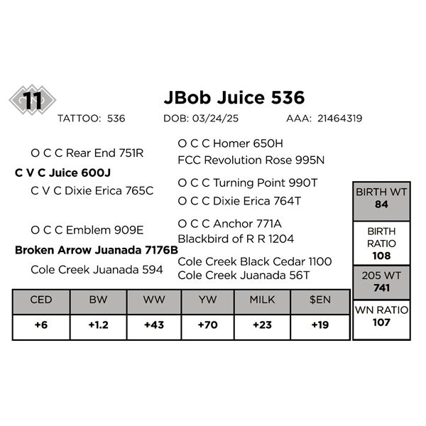 JBob Juice 536