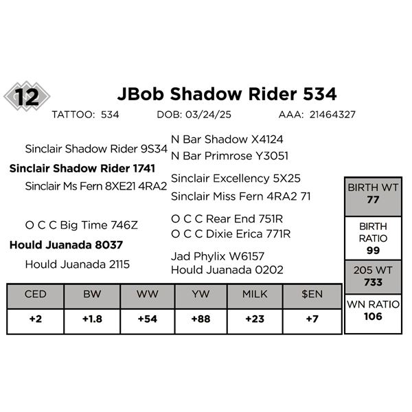 JBob Shadow Rider 534