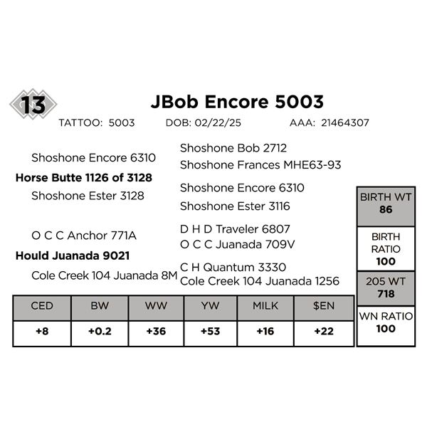 JBob Encore 5003