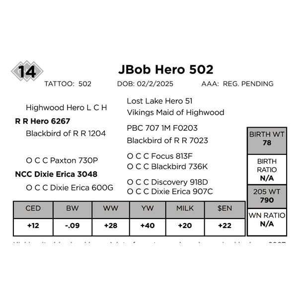 JBob  Hero 502