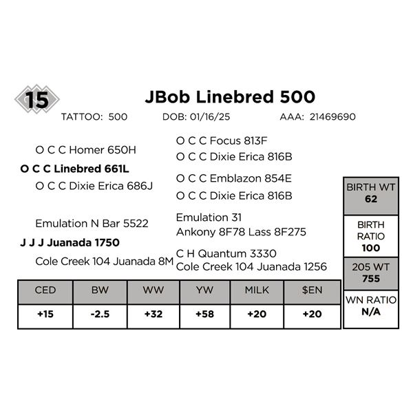 JBob Linebred 500