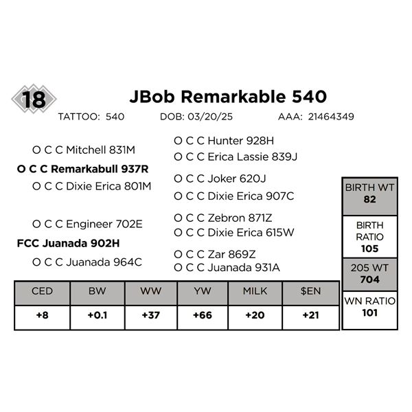 JBob Remarkable 540