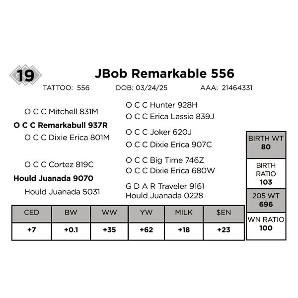 JBob Remarkable 556