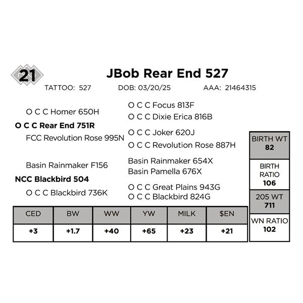 JBob Rear End 527