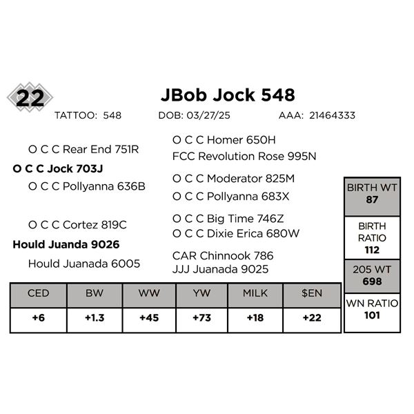 JBob Jock 548