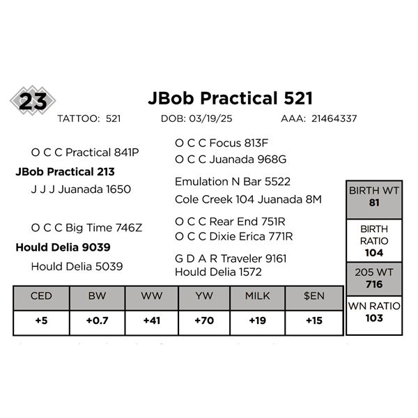 JBob Practical 521