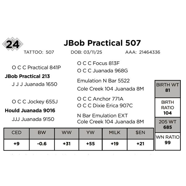 JBob Practical 507