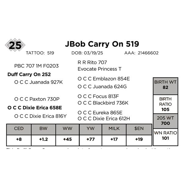 JBob Carry On 519