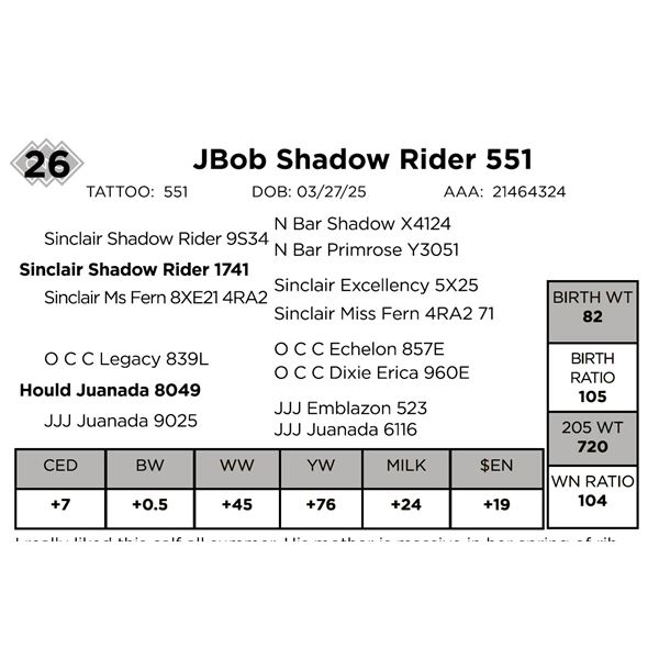 JBob Shadow Rider 551
