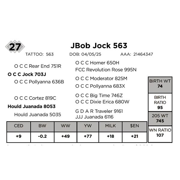 JBob Jock 563