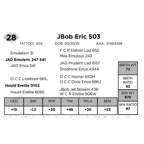 JBob Eric 503
