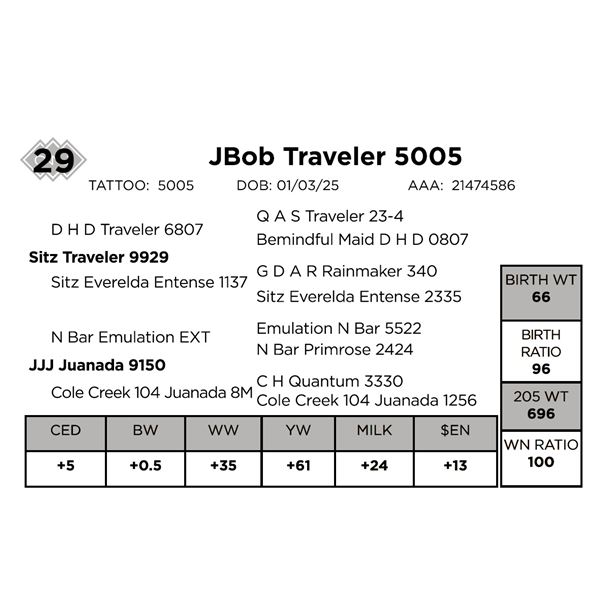 JBob Traveler 5005