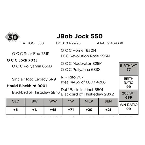 JBob Jock 550