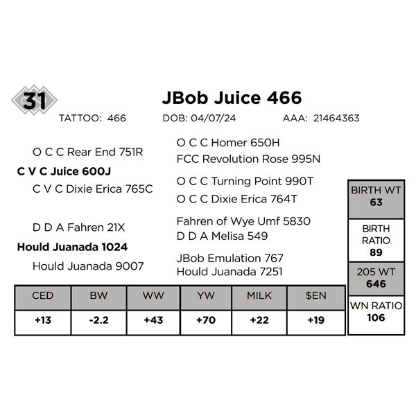 JBob Juice 466