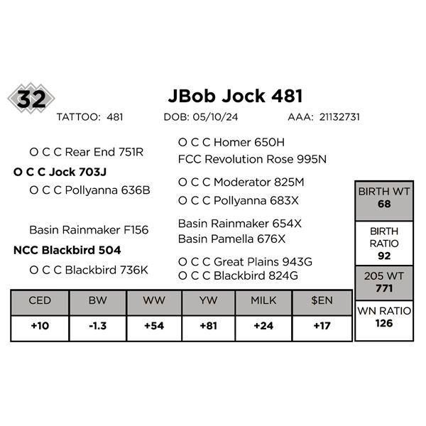 JBob Jock 481