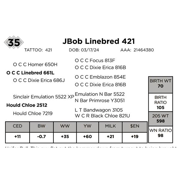 JBob Linebred 421