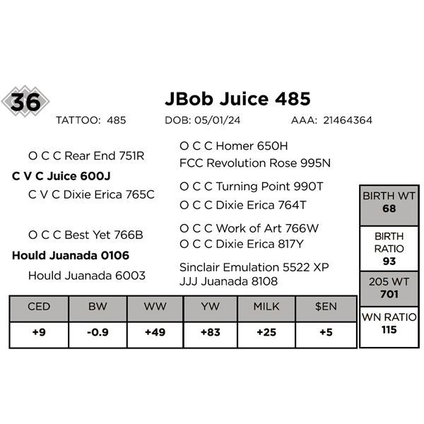 JBob Juice 485