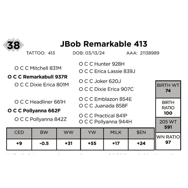 JBob Remarkable 413