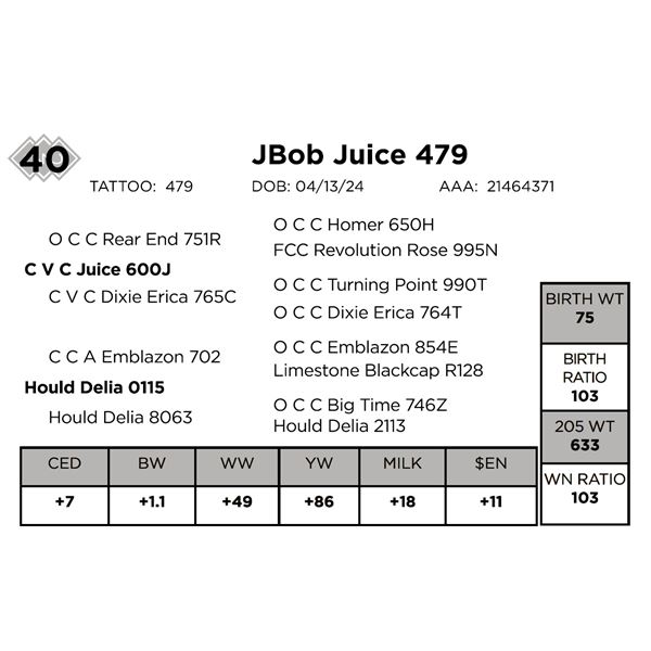 JBob Juice 479