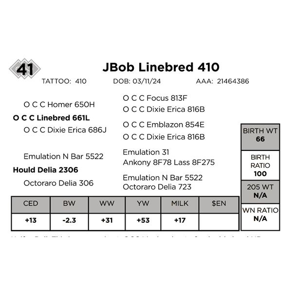 JBob Linebred 410