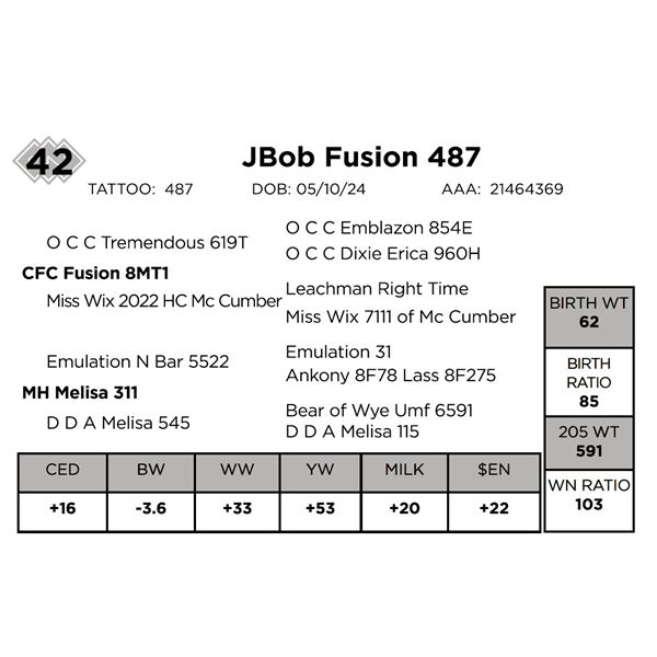 JBob Fusion 487