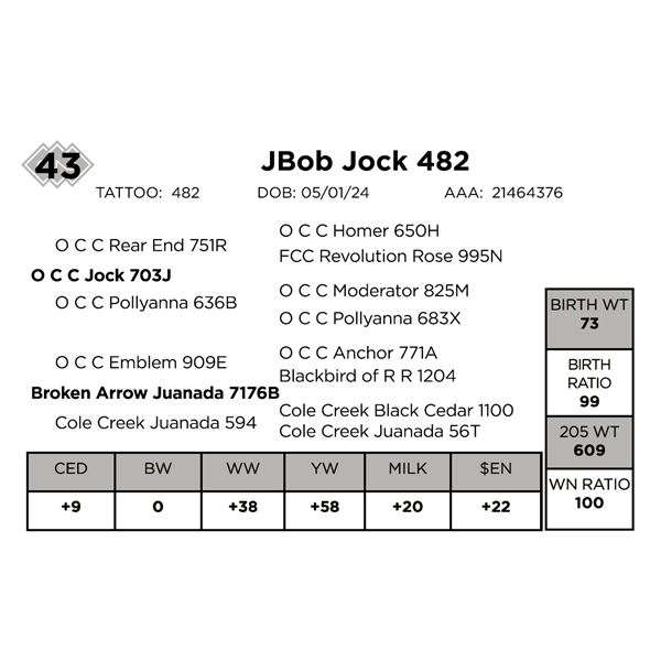 JBob Jock 482