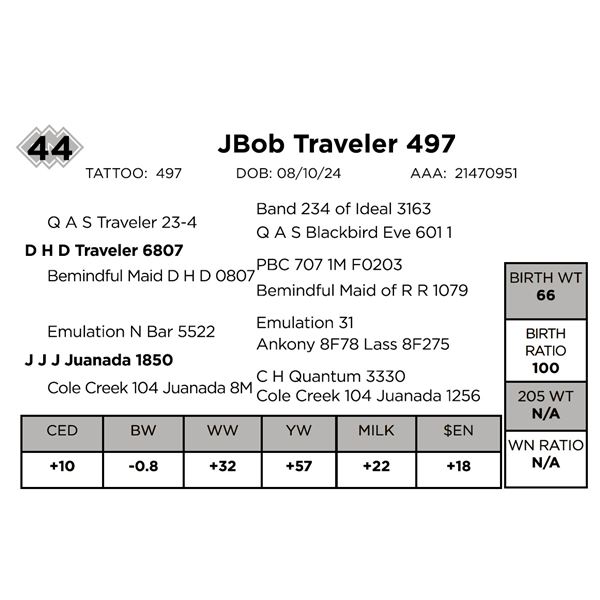 Jbob Traveler 497