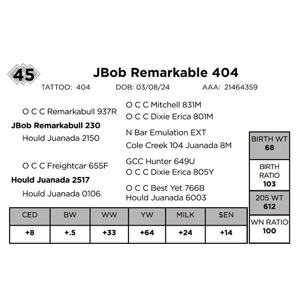 Jbob Remarkable 404