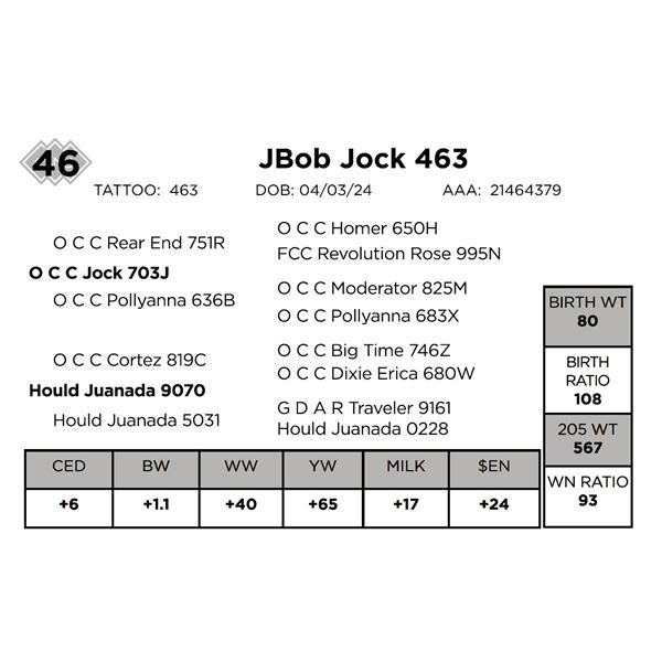 Jbob Jock 463