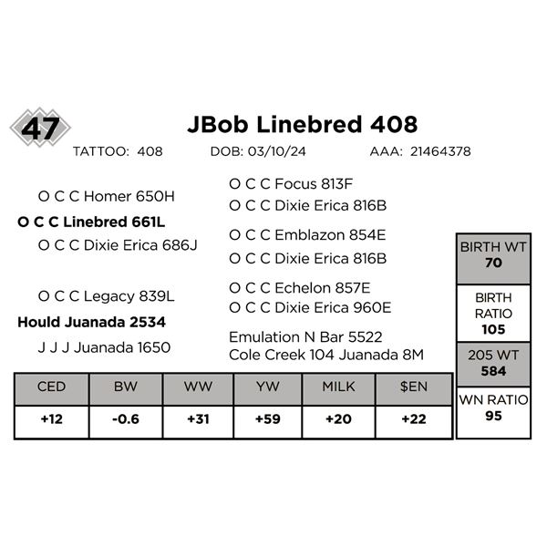 JBob Linebred 408