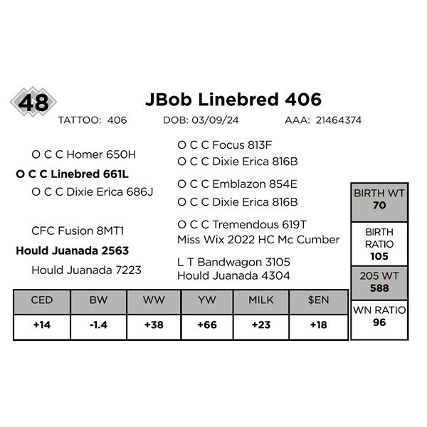 JBob Linebred 406