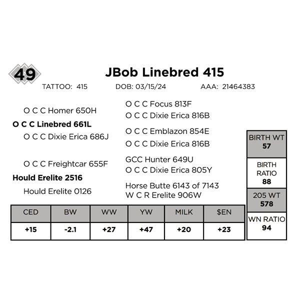 JBob Linebred 415