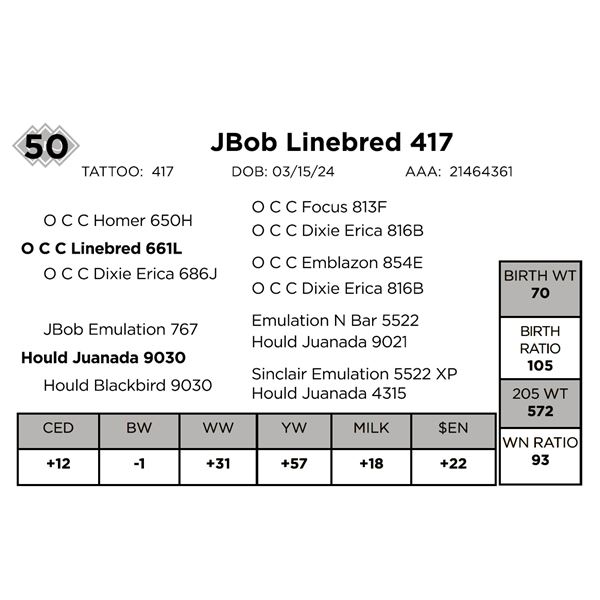 JBob Linebred 417