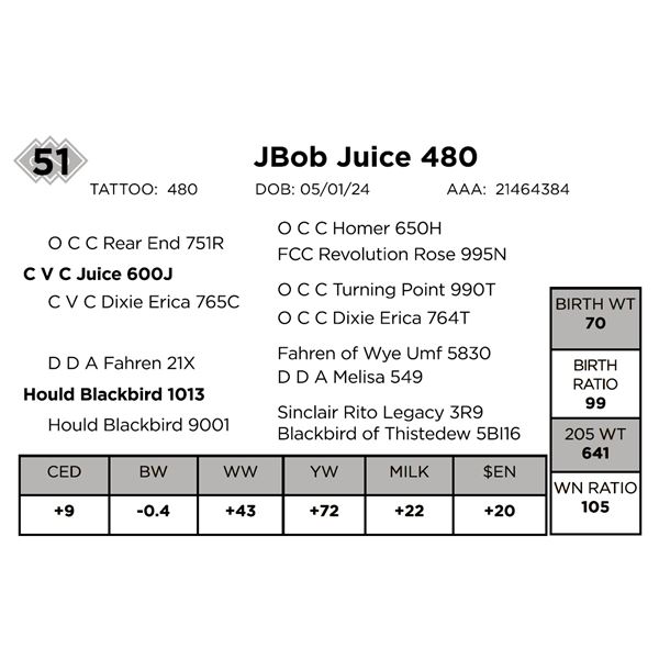 JBob Juice 480