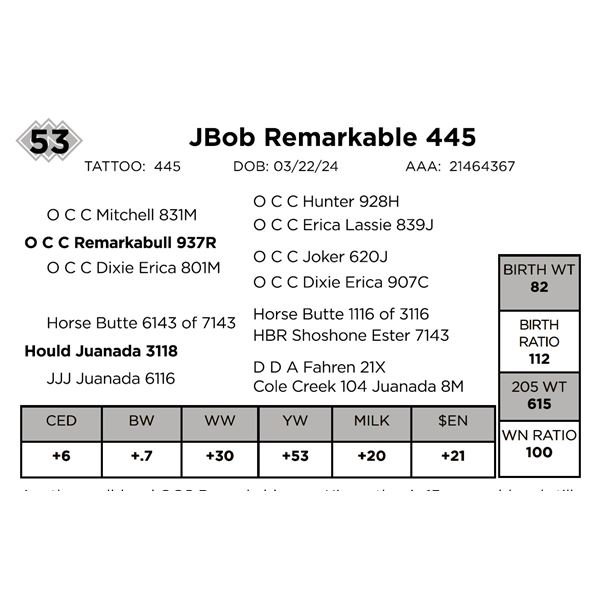 JBob Remarkable 445