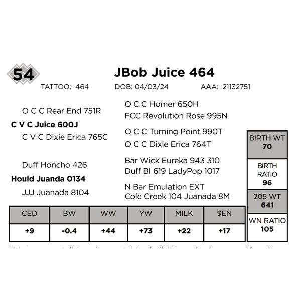 JBob Juice 464