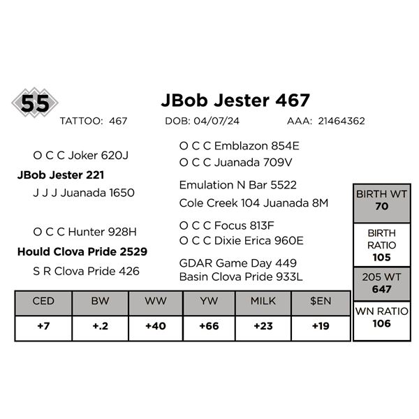 JBob Jester 467