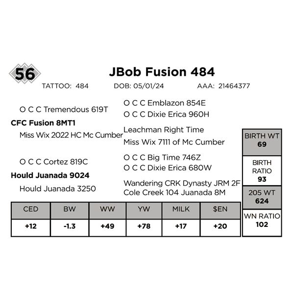 JBob Fusion 484