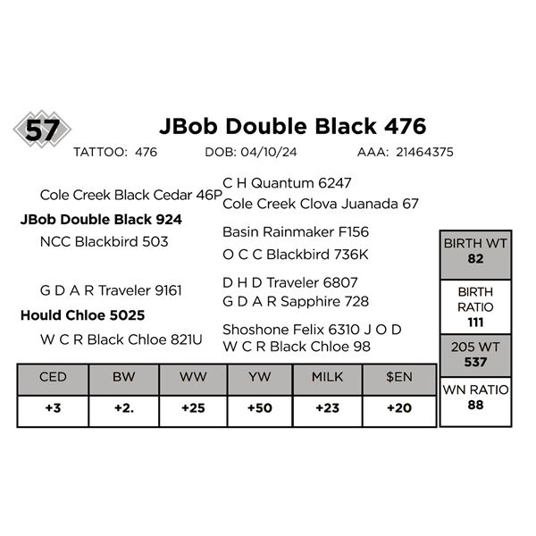 JBob Double Black 476